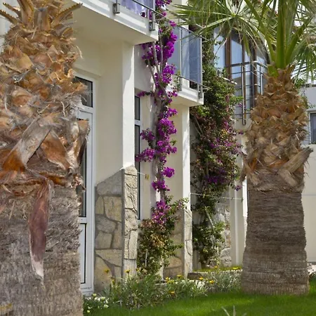 Zuzuu Ξενοδοχείο