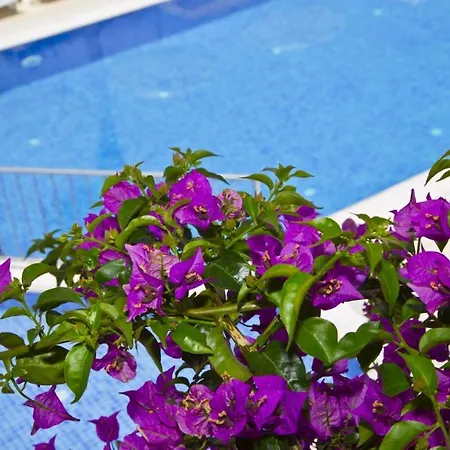 Zuzuu Hotell *