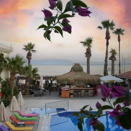 Hotell Zuzuu Ortakent