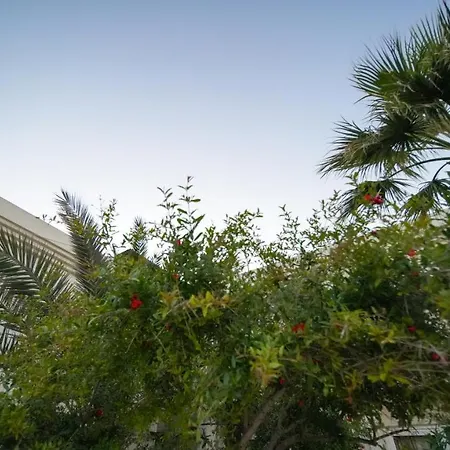 Ξενοδοχείο Zuzuu *