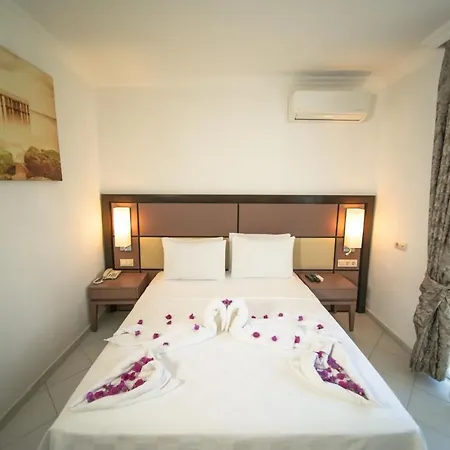 Zuzuu * 奥塔肯特