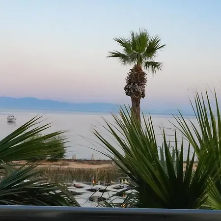 Zuzuu Hotel Ortakent