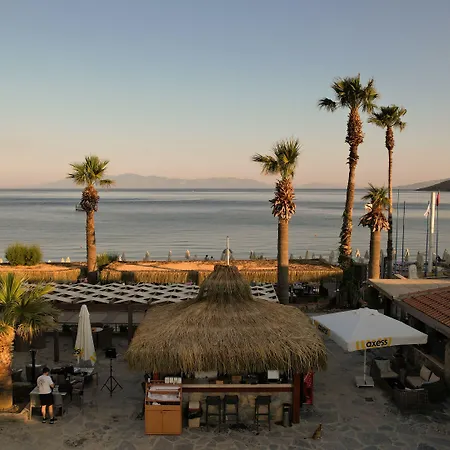 Zuzuu * אורטקנט